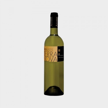 botella AÑARES TERRA NOVA RUEDA VERDEJO