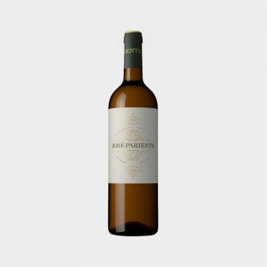 BOTELLA J.PARIENTE rueda verdejo