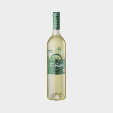 BOTELLA RUEDA PATANEGRA VERDEJO
